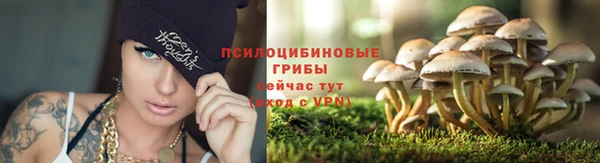 бошки Абинск